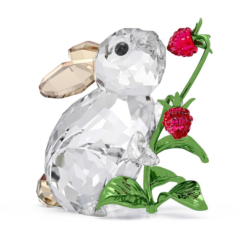 Idyllia coniglio e lamponi