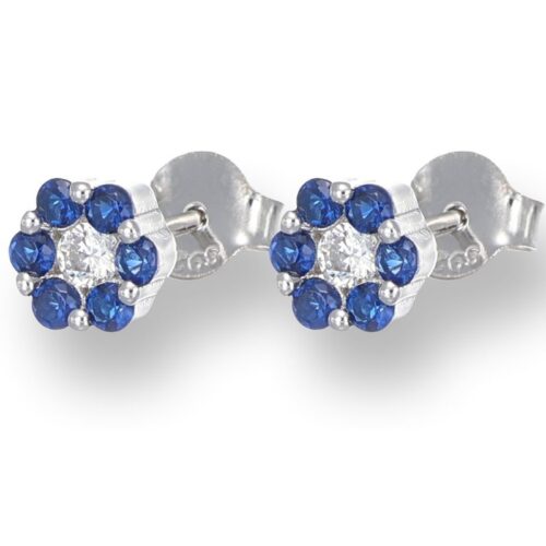 Orecchini TerryOro 217E-1728 ZF Fiore Argento 925 Blu